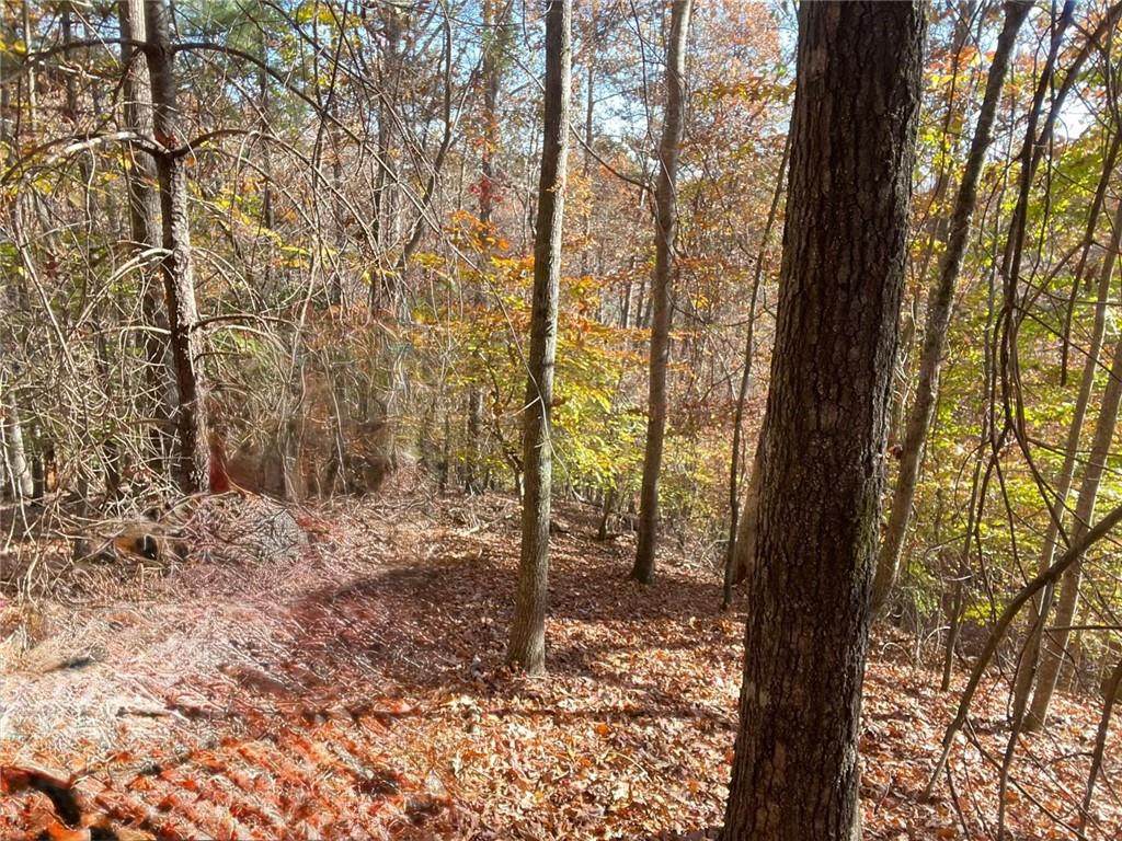 0 Hyalite Road - Photo 1