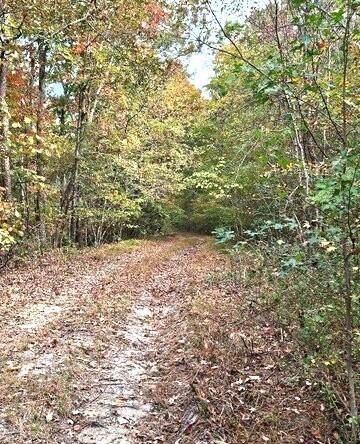 0 Fruit Farm Road - Photo 1