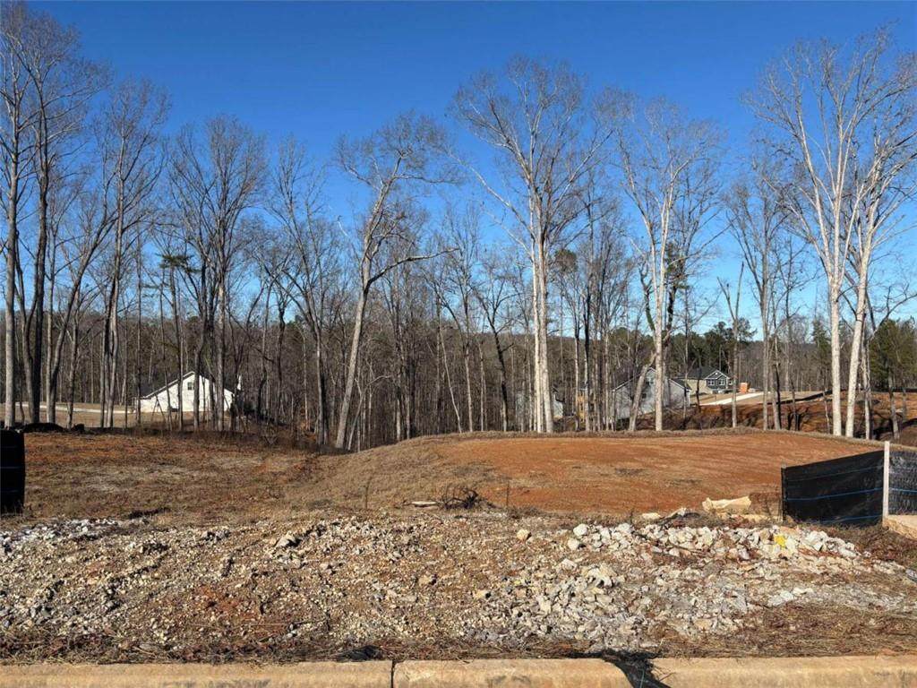 3390 Trevi Trail - Photo 1