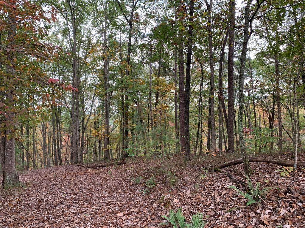 128 Adair Drive - Photo 1