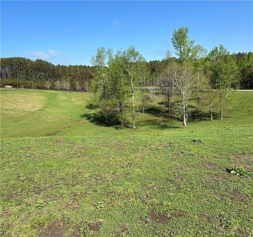 1647 Garland Mountain Trail - Photo 1
