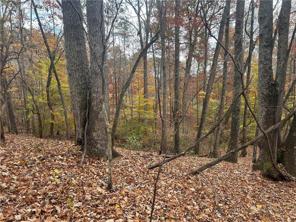 932 Sardis Road - Photo 1