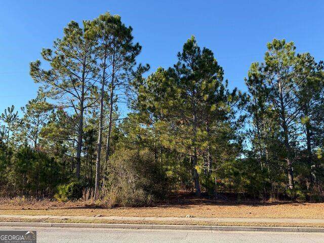 0 Weeping Willow Drive - Photo 1
