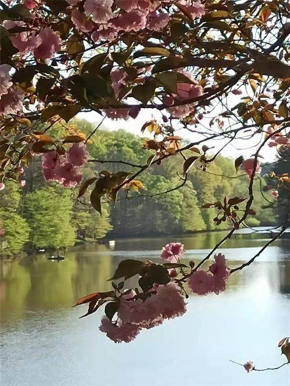 2382 Merrymount Drive - Photo 1