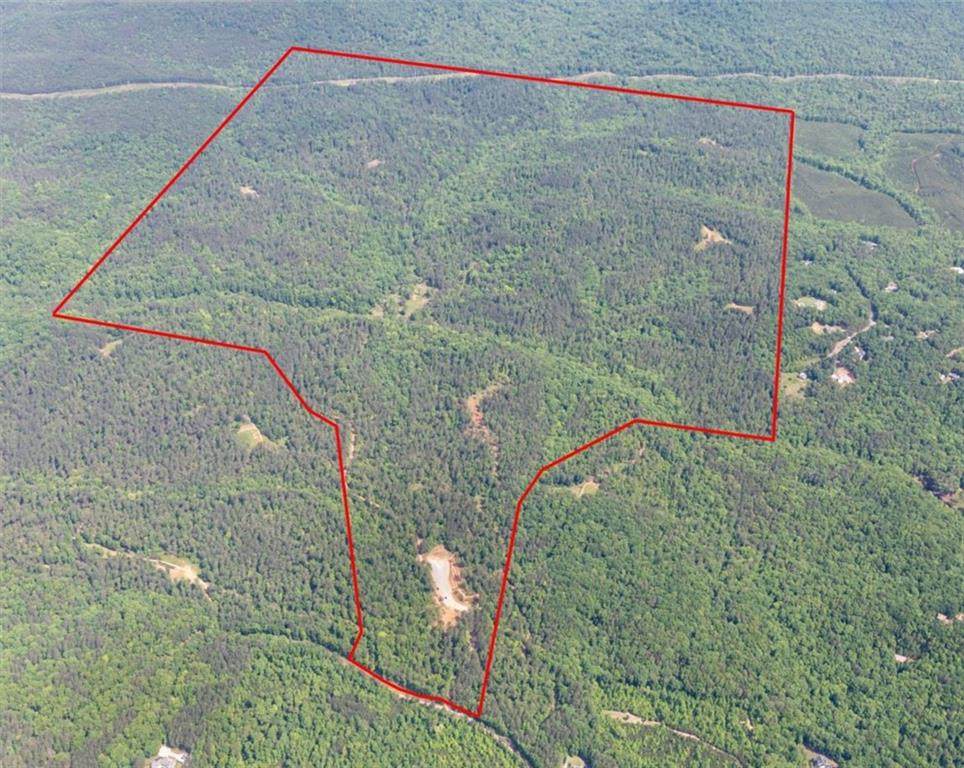 1600 White Road - Photo 1
