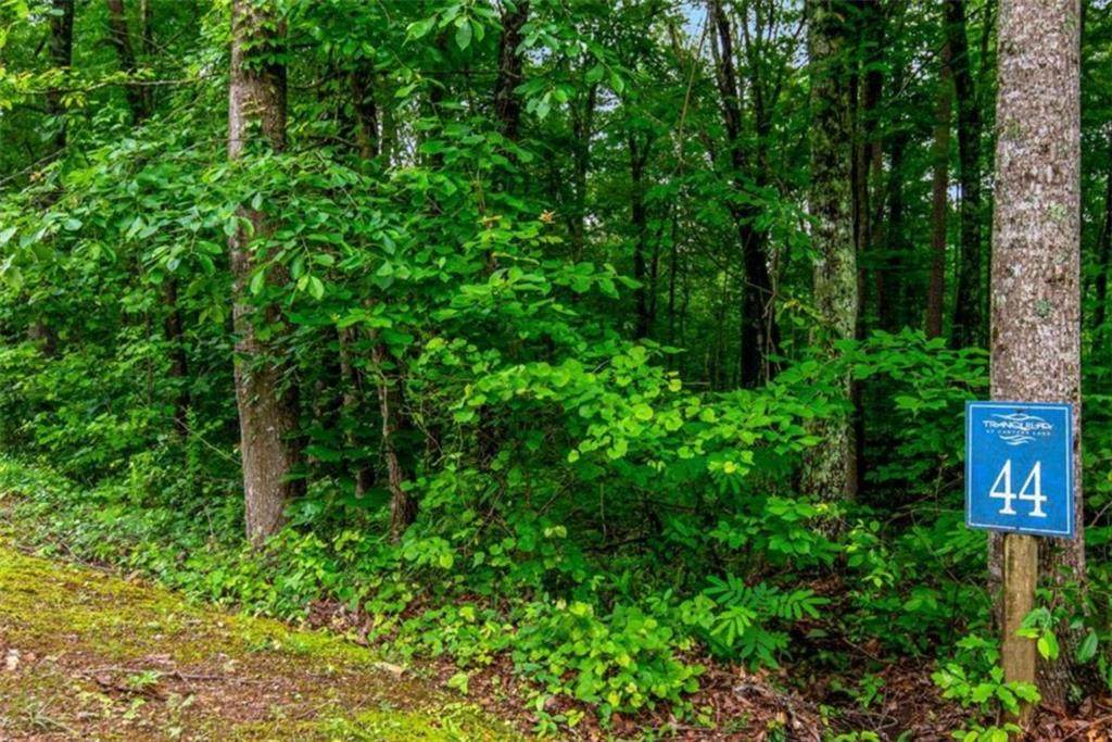 LOT 44 Harris Creek Drive - Photo 1