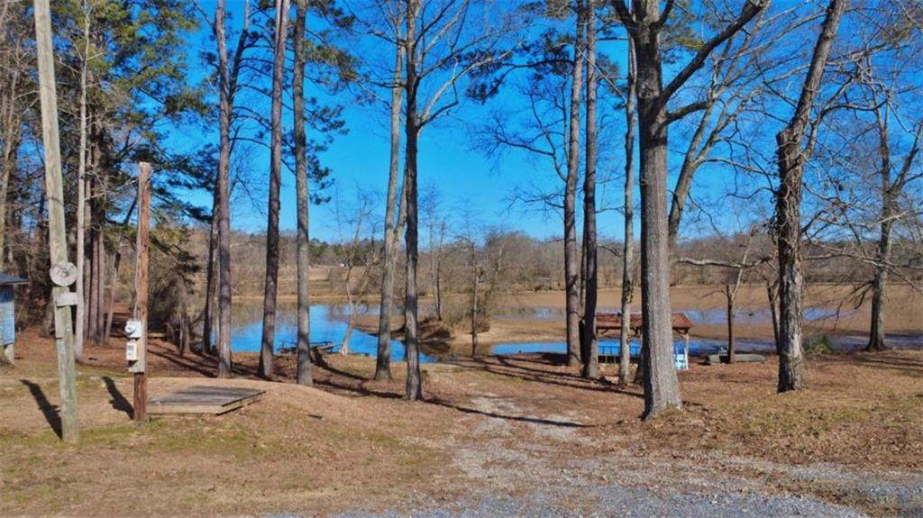 7112 Blacks Bluff Road - Photo 1
