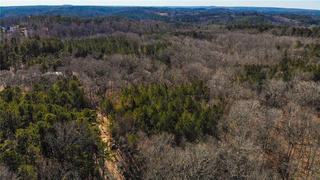 5.566 Acres On Orlando Path - Photo 1