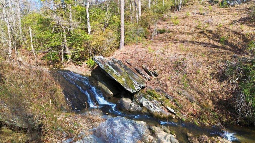 LOT 4 Olde Rockhouse Lane - Photo 1