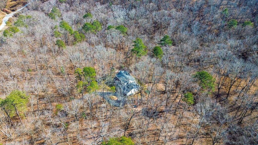24+- Acres Mount Vernon Road - Photo 1