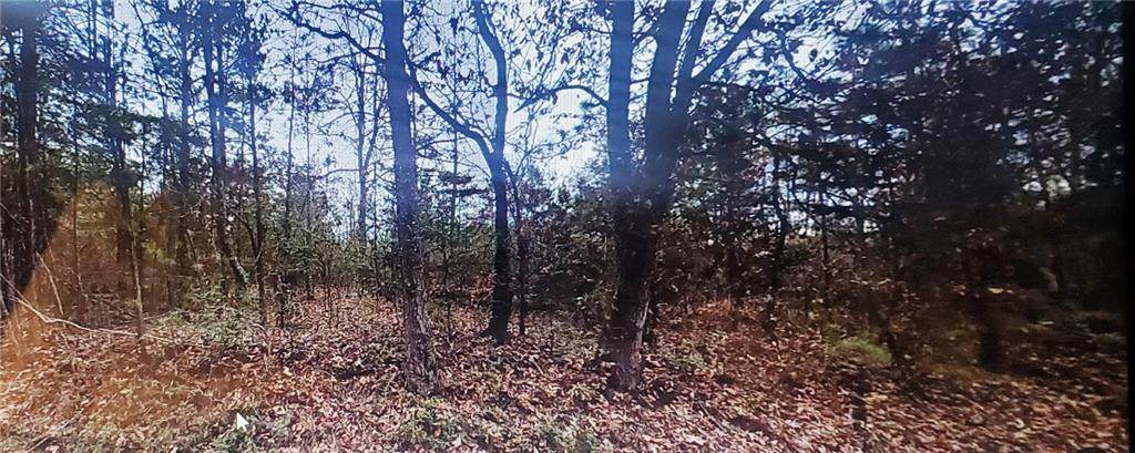 0 Sweetwater Church Road - Photo 1