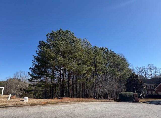 4290 Bronte Lane - Photo 1