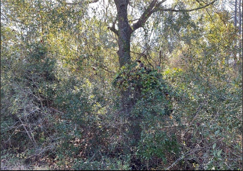 0 Quiesqueya Cir - Photo 1