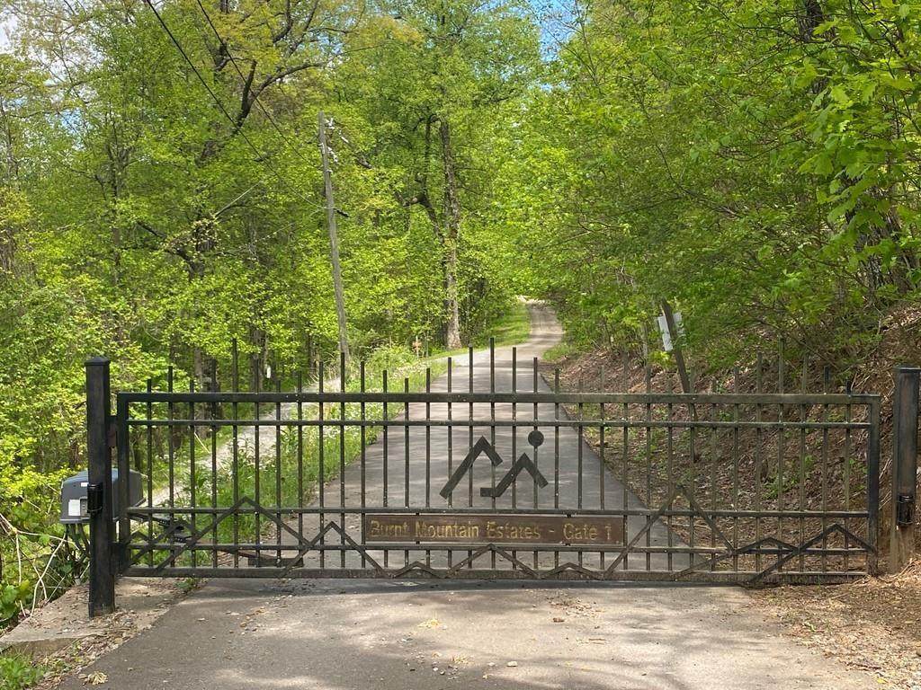 000 Burnt Mountain Cove Road - Photo 1