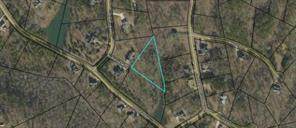 0 Black Hawk Place Lot 242 - Photo 1