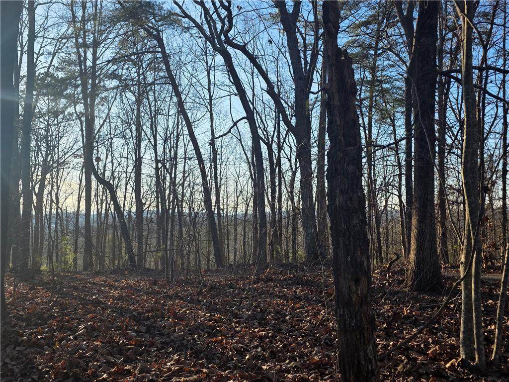 0 Carters Lake Overlook - Photo 1