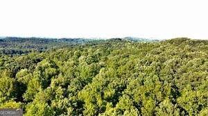0 Dawsonville Highway - Photo 1