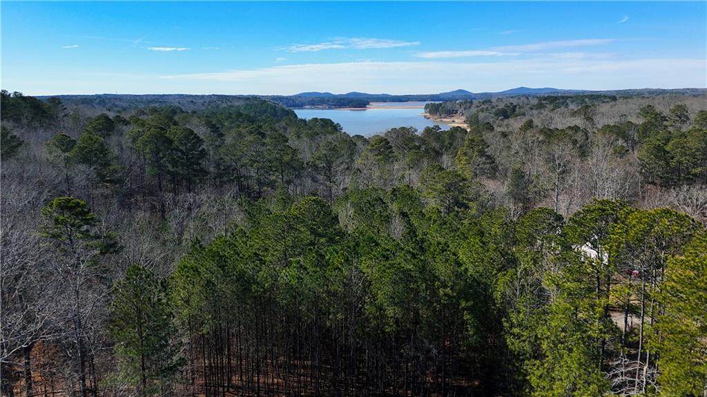 7167 Mccurley - Photo 1