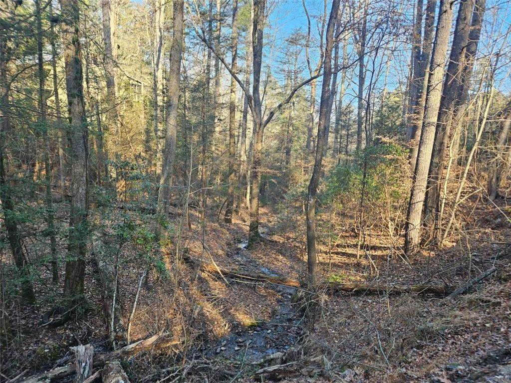 LT 162 Nexus Drive - Photo 1