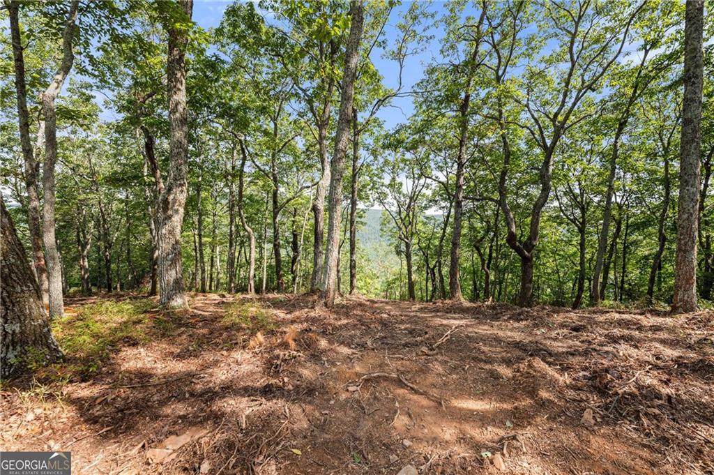 347 Highlands Drive - Photo 1