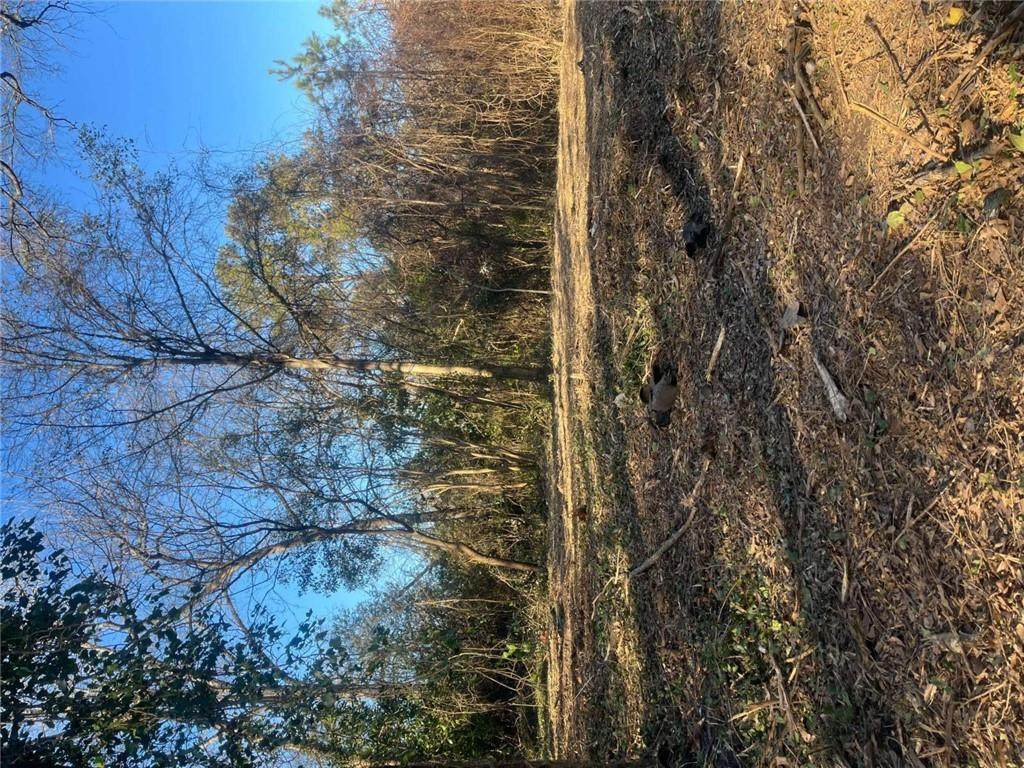 0 Old Griffin Rd - Photo 1