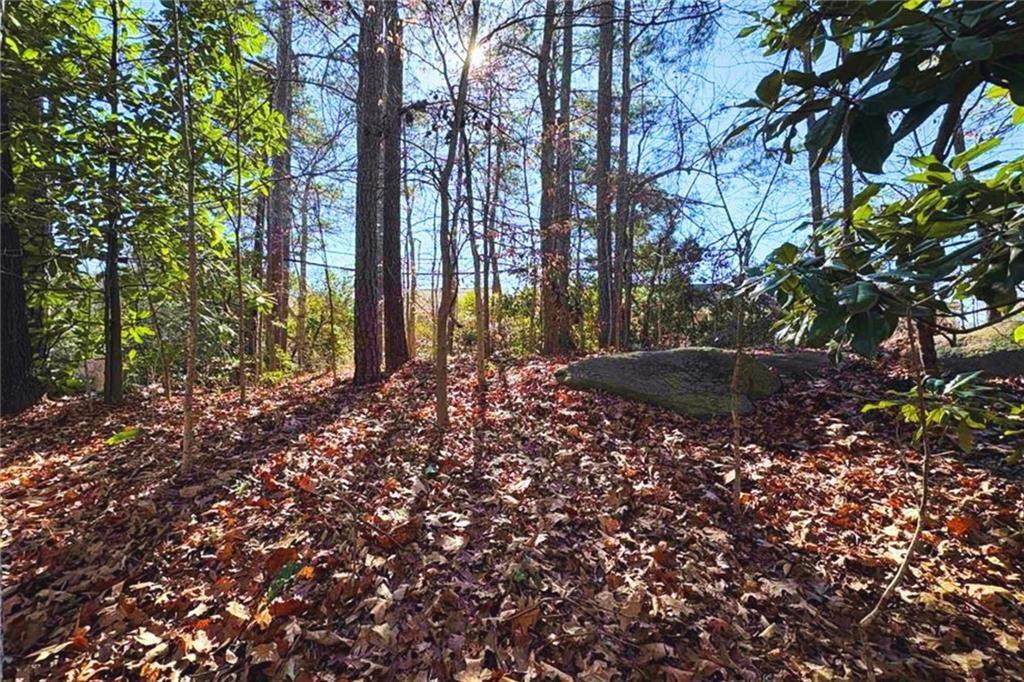 0 Stone Road - Photo 1