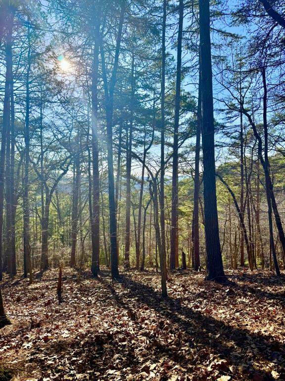 334 Packet Court - Photo 1