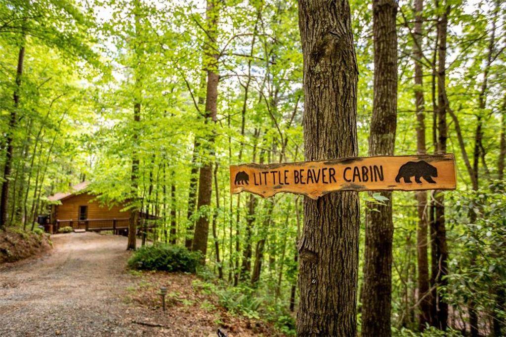 137 Little Beaver Drive - Photo 1