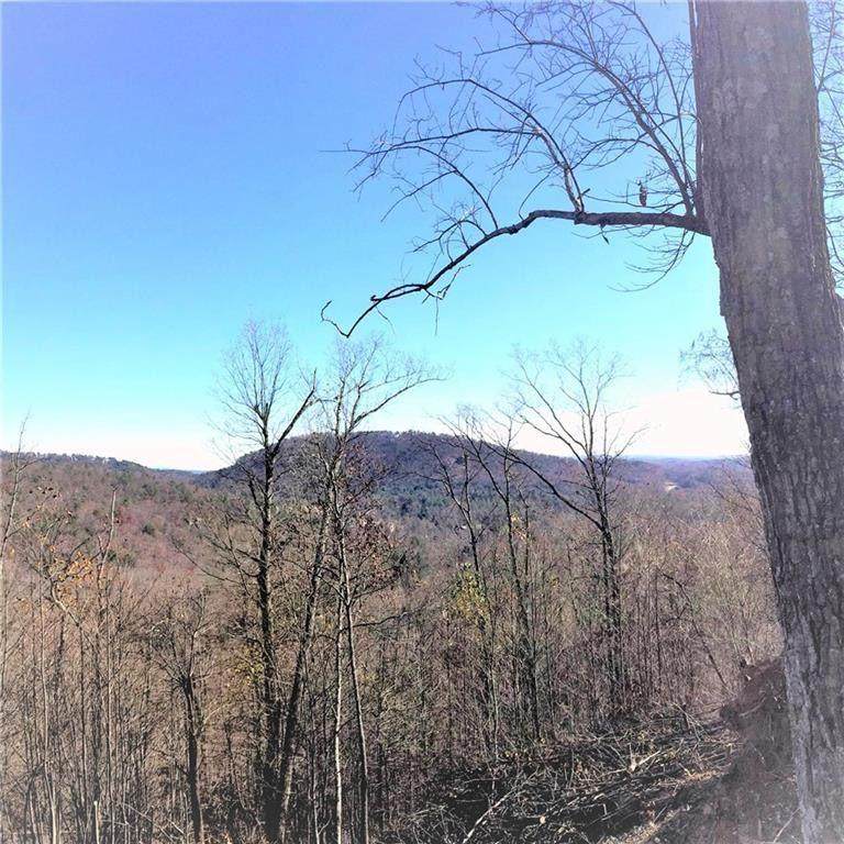 8104 Wilderness Parkway - Photo 1