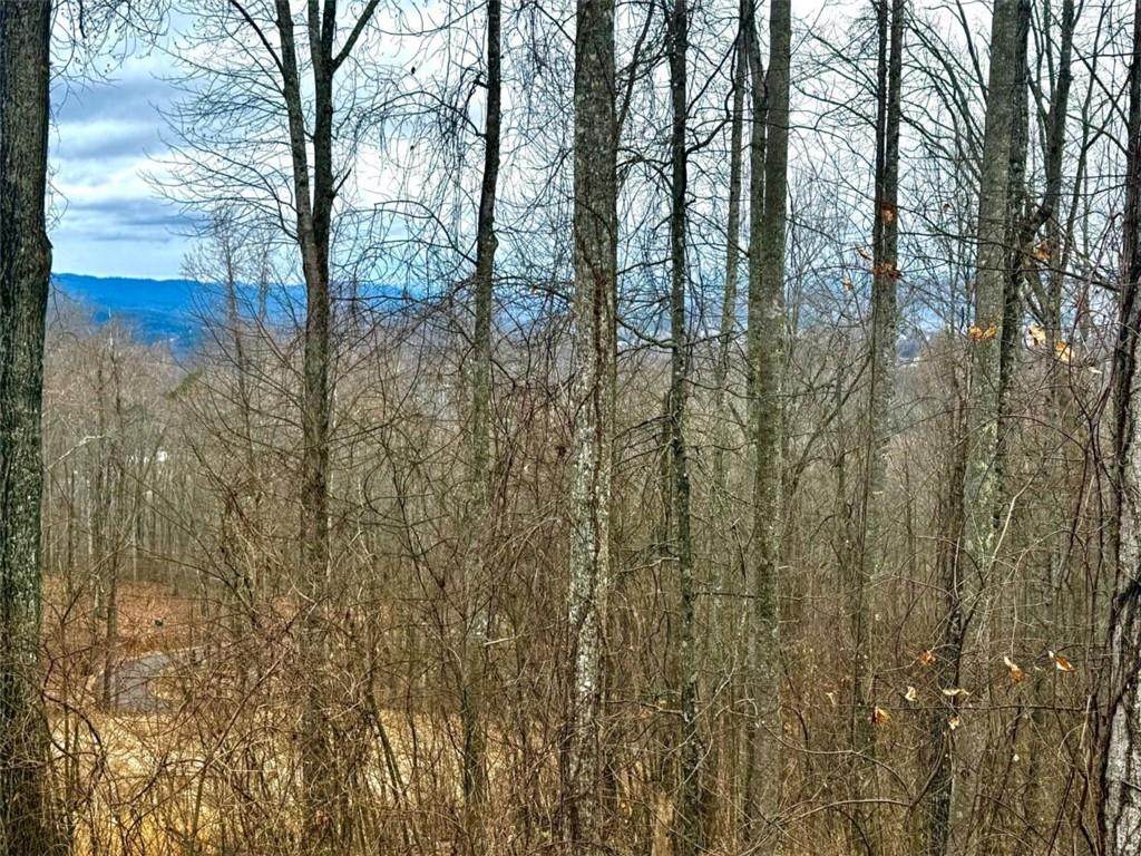 LOT 7 Rocky Knob Drive - Photo 1