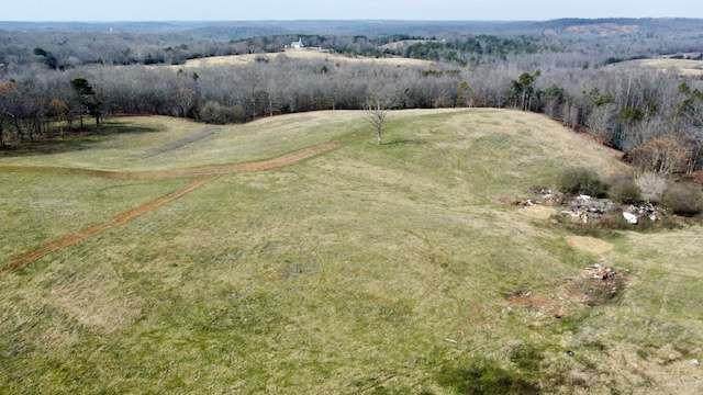 2245 Cheek Pulliam Road - Photo 1