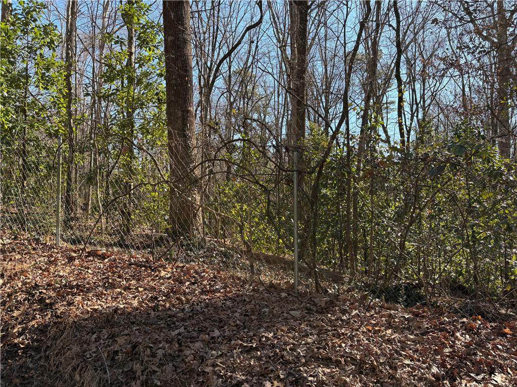 1541 Withmoor Terrace - Photo 1