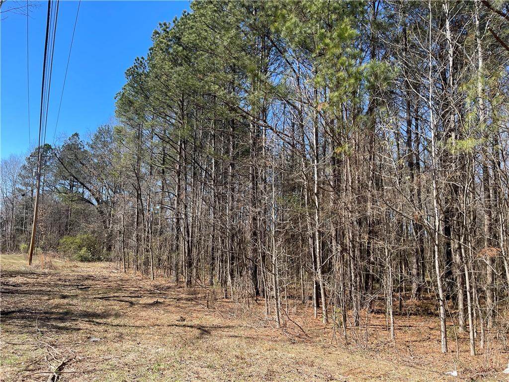 0 Brown Bridge Road - Photo 1