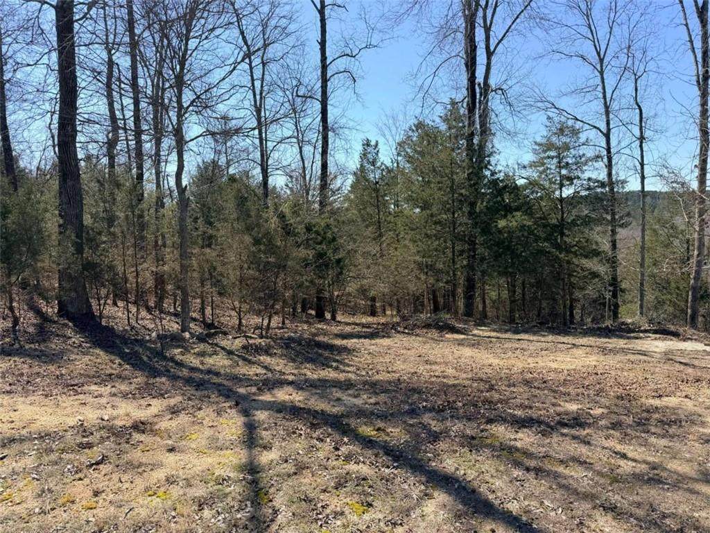 4012 Paulette Drive - Photo 1