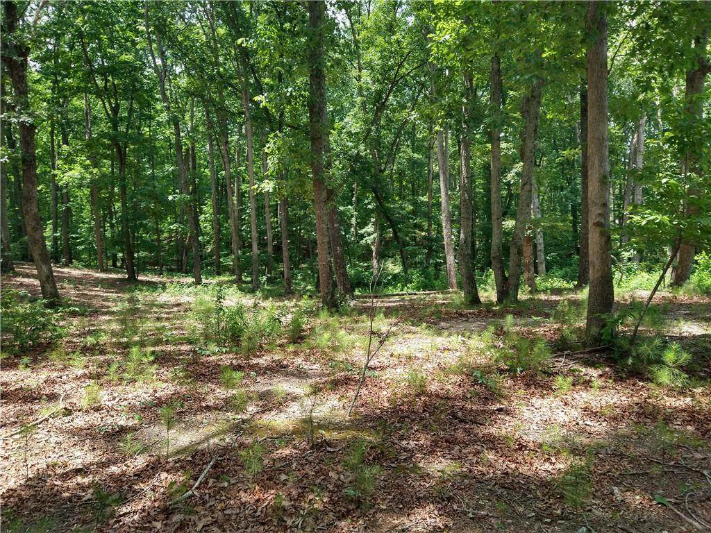 2112 Allgood Road - Photo 1