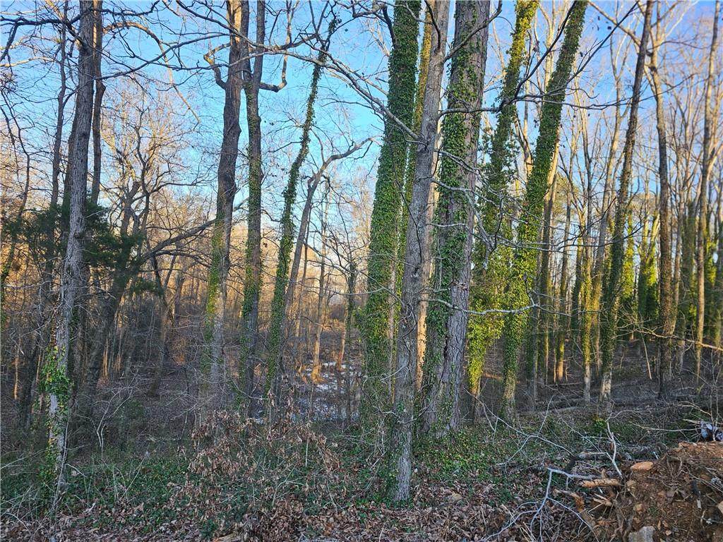 3060 Highway 20 - Photo 1