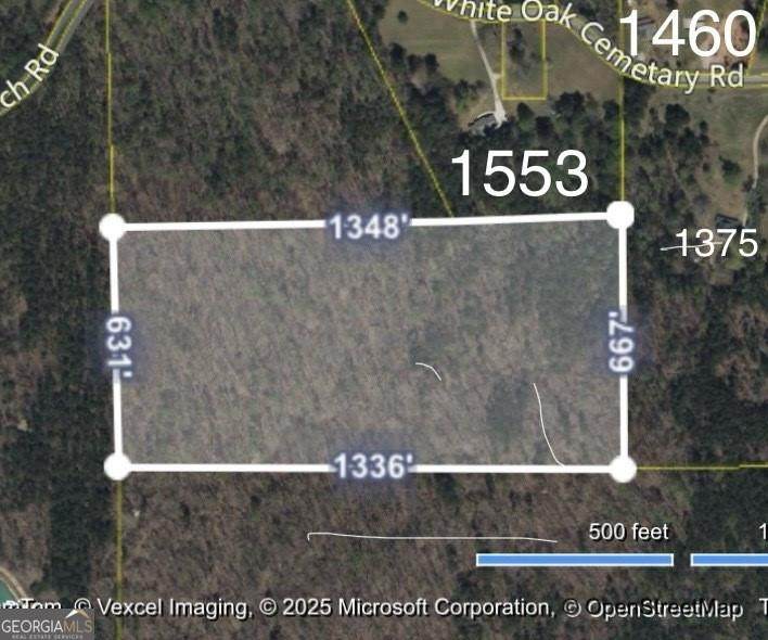 0 Old White Oak Cemetery Road - Photo 1
