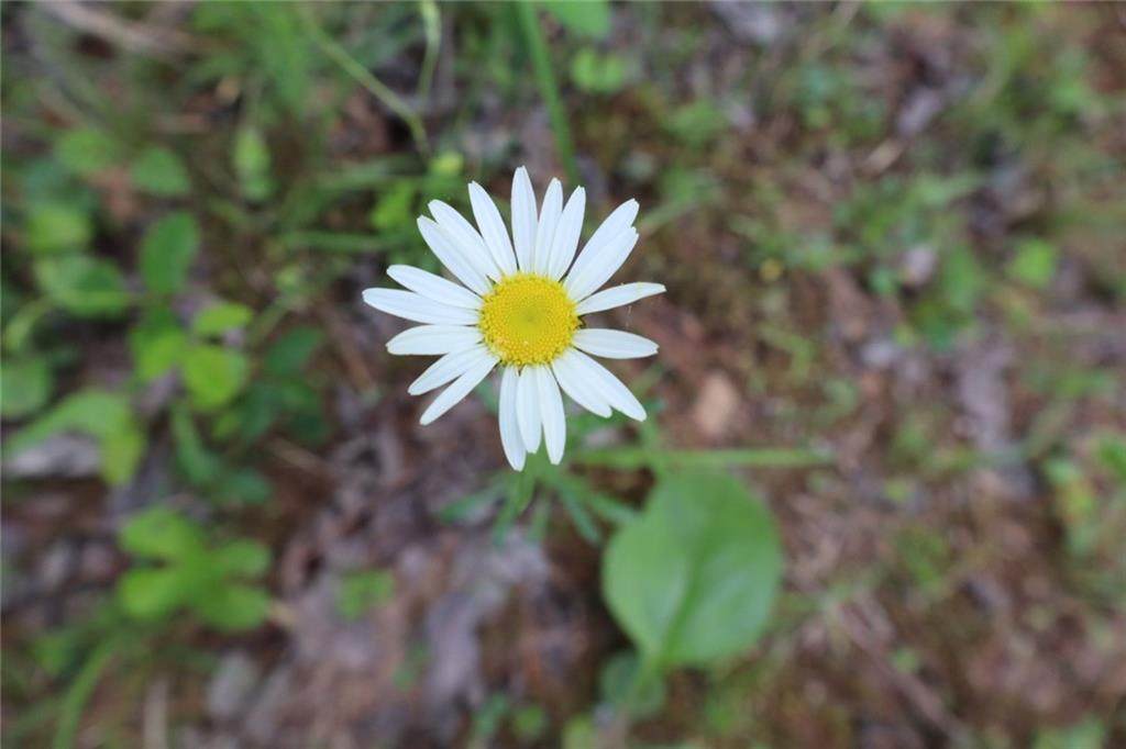 https://bt-photos.global.ssl.fastly.net/fmls/orig_boomver_1_7727634-2.jpg