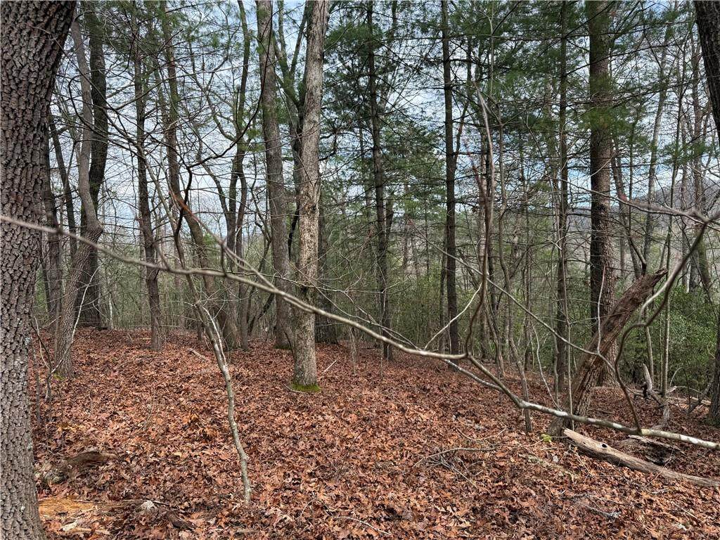 Lot 13 Frances Drive - Photo 1