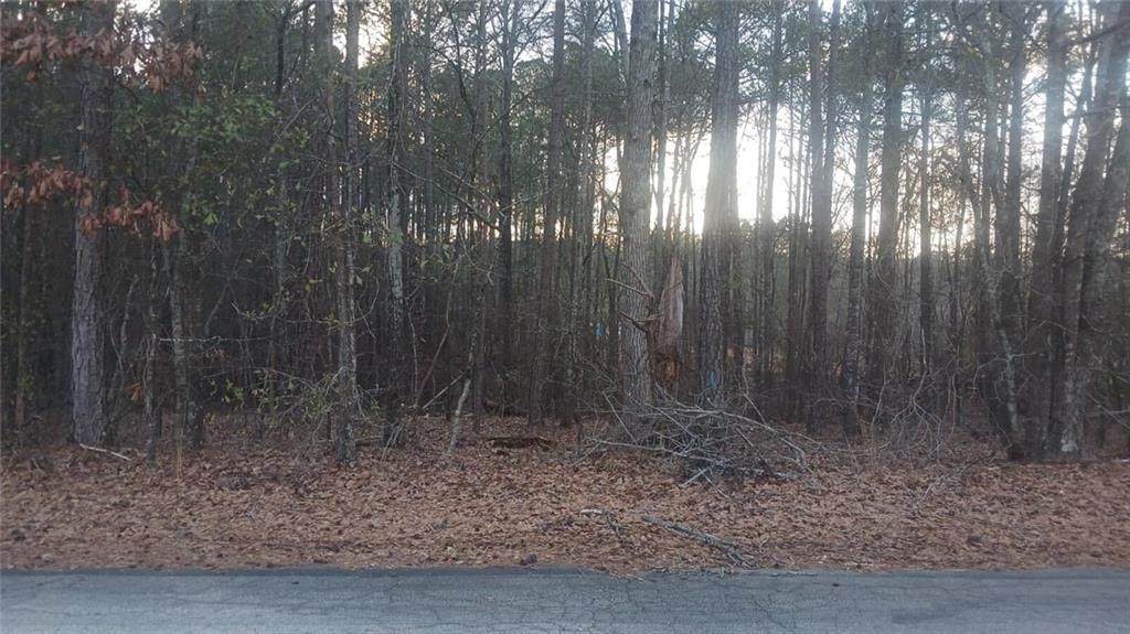 90 Harville Road - Photo 1