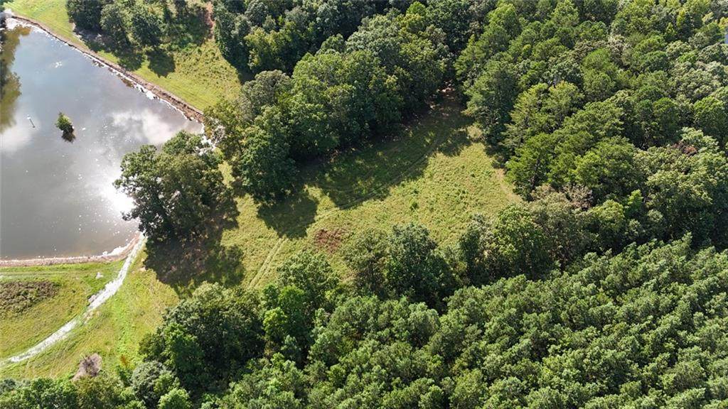 Lot 1 Snote Jones Road - Photo 1