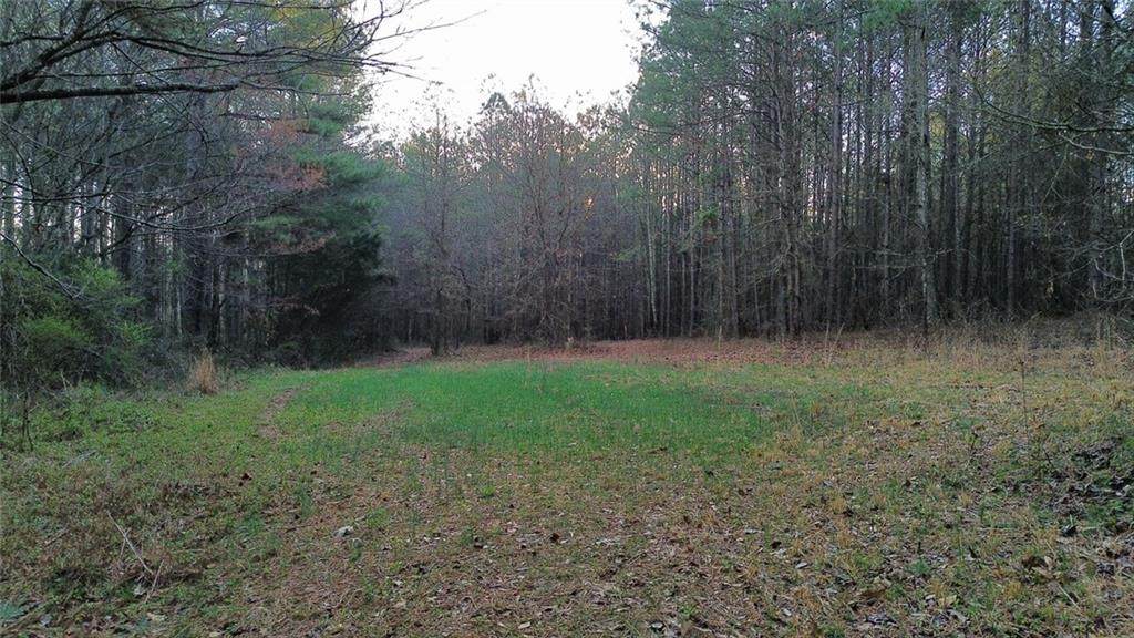 8165 Highway 81 - Photo 1