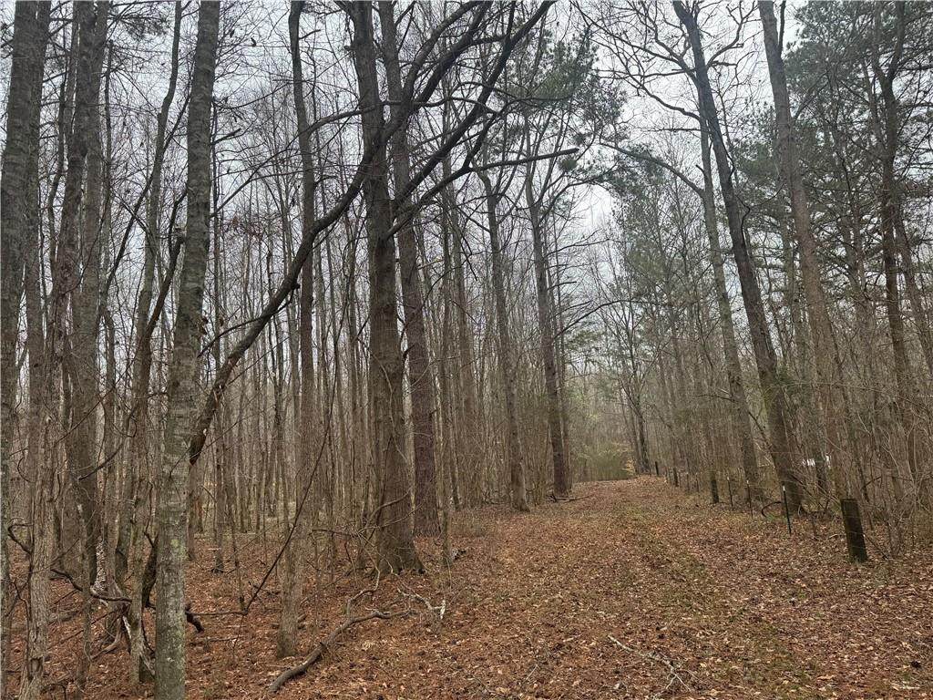 0 Indian Creek Trail - Photo 1