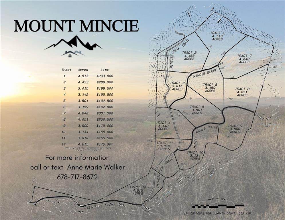 Lot 5 Mount Mincie Road - Photo 1