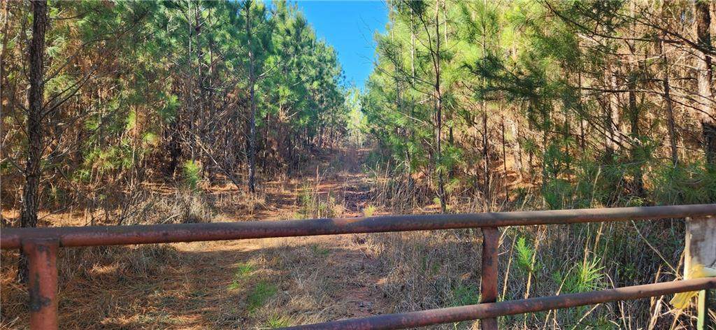 0 Jaudon Road - Photo 1