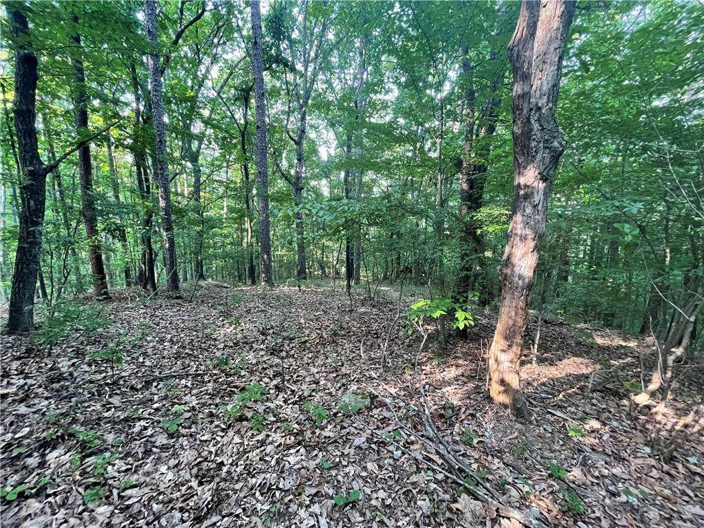 860 Cloudland Trace - Photo 1