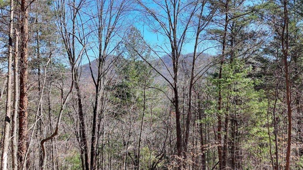 LOT 10 Butternut S/D / Firefly Ridge - Photo 1
