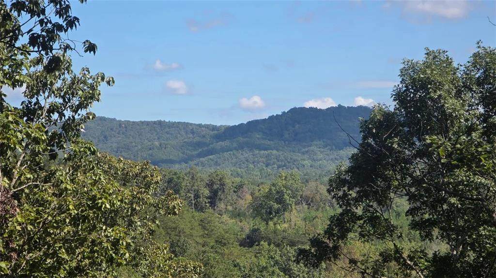 611 Pack Road - Photo 1