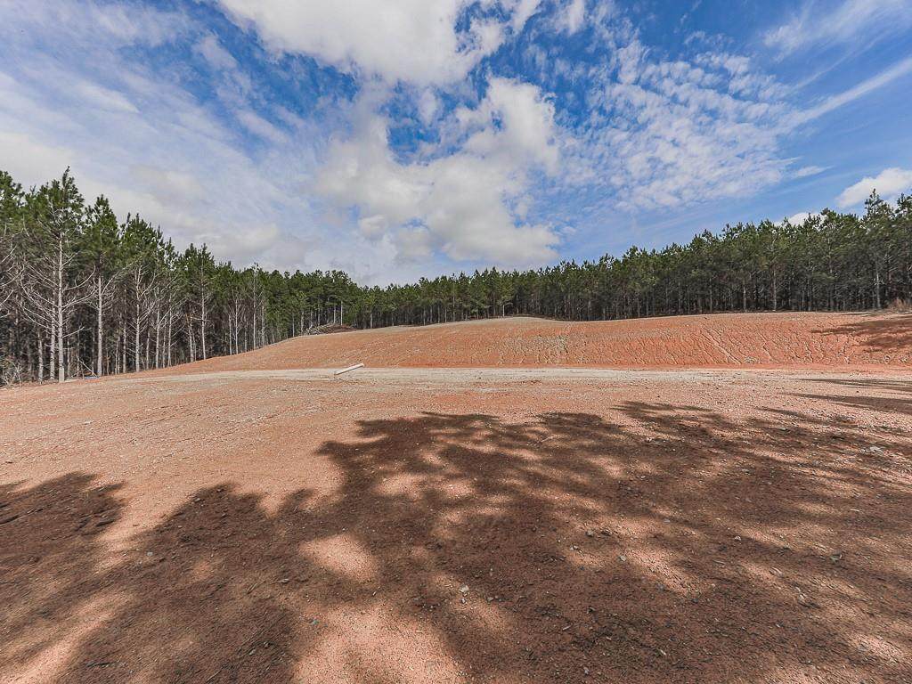 1121 Trimble Hollow Road - Photo 1