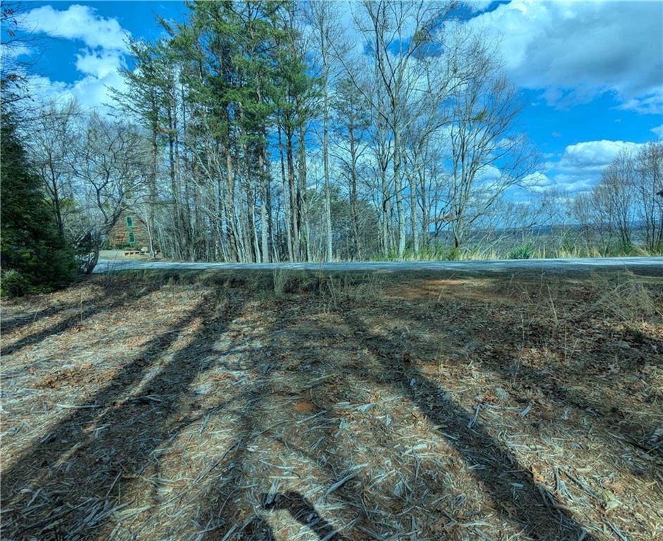 LT 30 Eagle Ridge Road - Photo 1